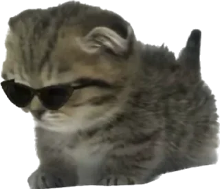 Sticker Котёныши-невдуплёныши by 🍓@wbmesale🍓 - 1