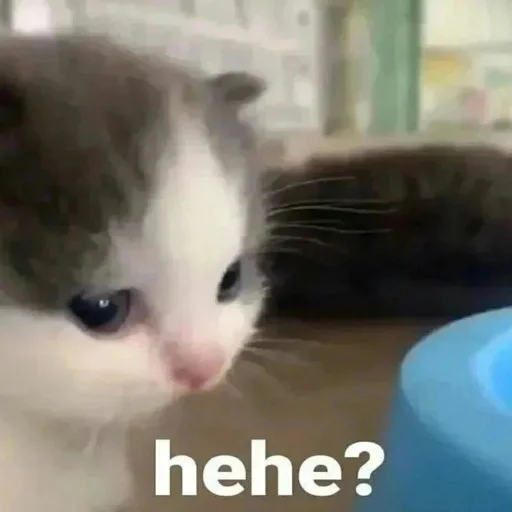 Sticker Коупс - 8