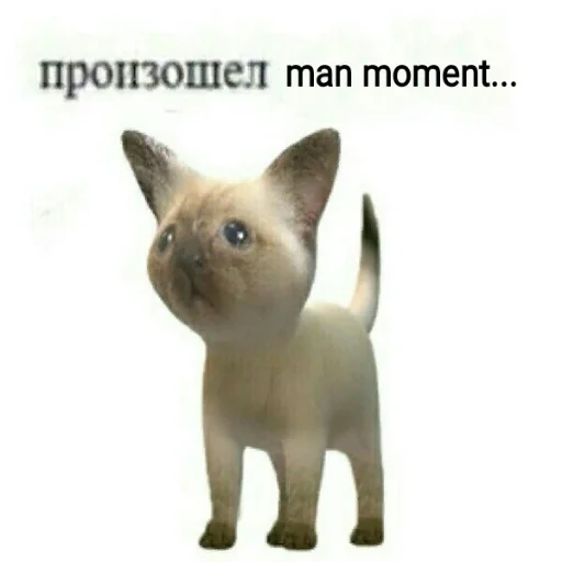 Sticker Коупс - 4