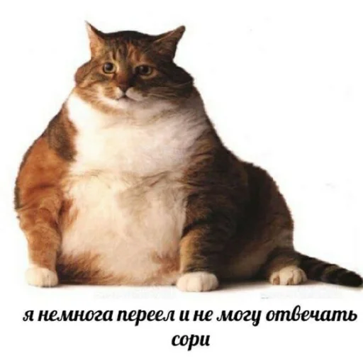 Sticker Коупс - 3