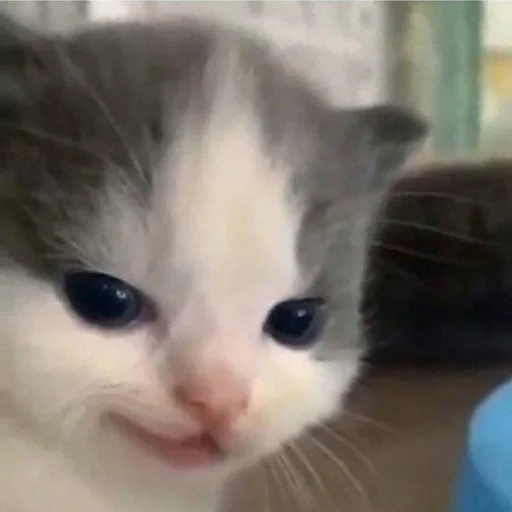 Sticker Коупс - 0