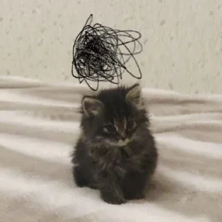 Sticker Котятульки - 4