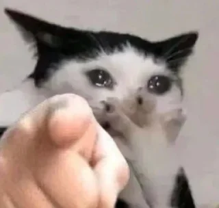 Sticker Котятульки - 5