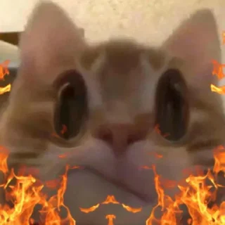 Sticker Котятульки - 3