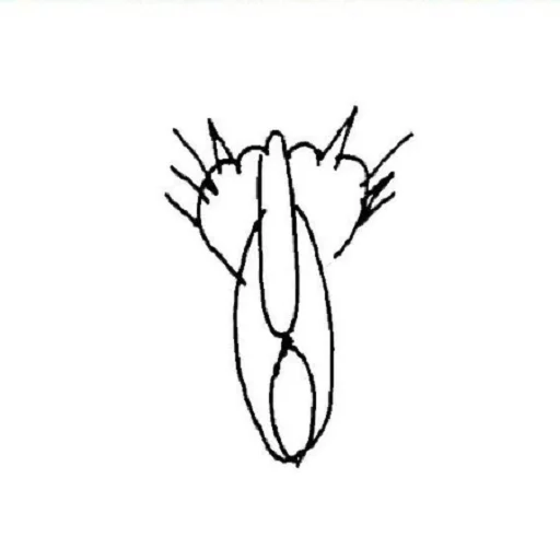 эскиз рисование детское искусство