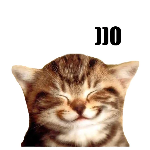 Sticker @kotykakty - 10