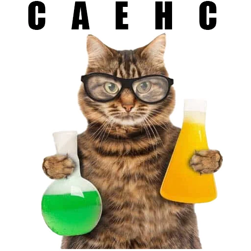 Sticker @kotykakty - 9