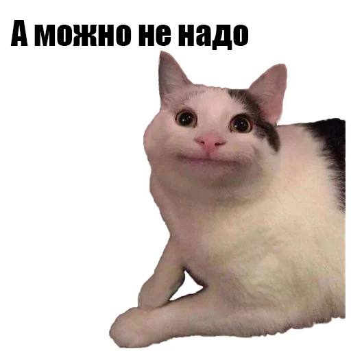 Sticker @kotykakty - 6