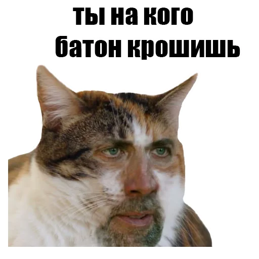 Sticker @kotykakty - 4