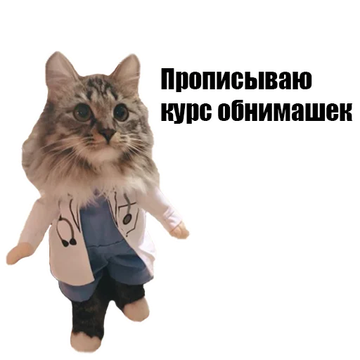 Sticker @kotykakty - 1