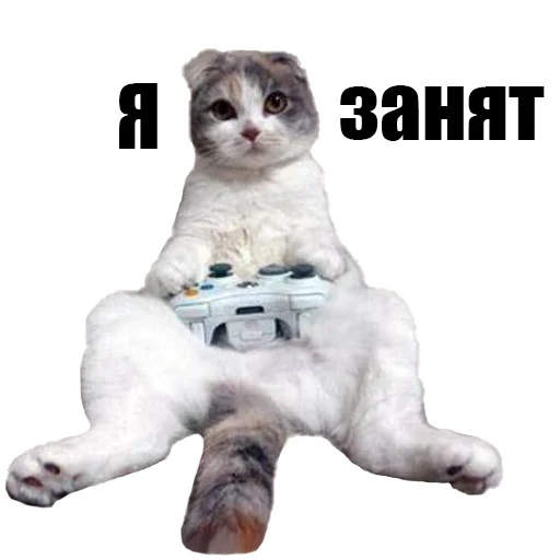 Sticker @kotykakty - 0