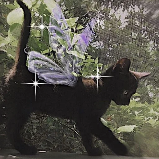 дерево млекопитающее кошка