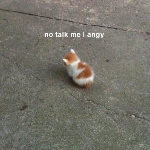 земля животное млекопитающее