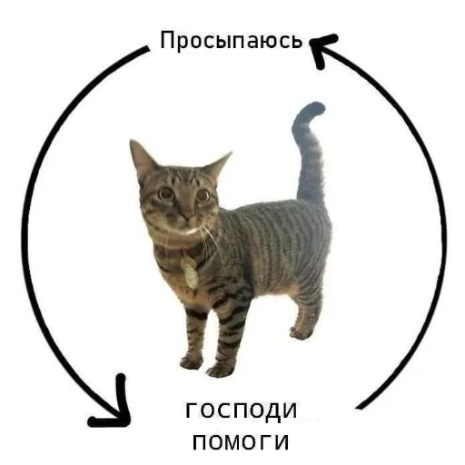 Стикер kotyy495 - 1