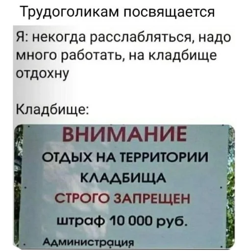 Sticker kotyy495 - 1