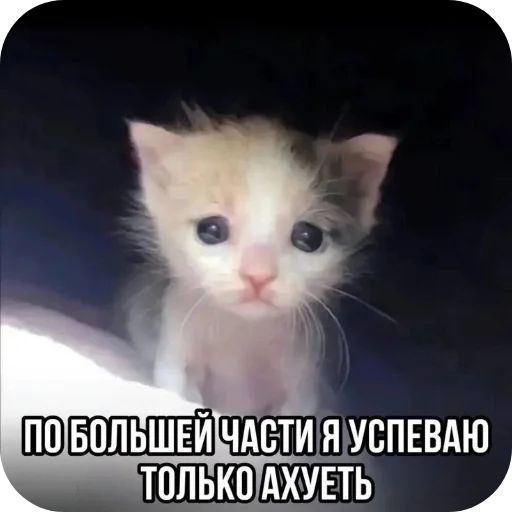 залупа редкостная - 