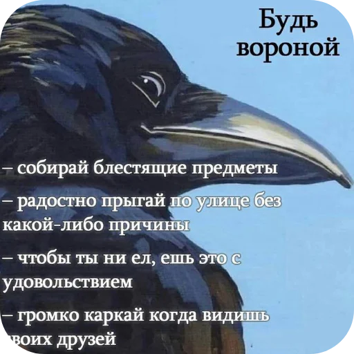 Sticker kotyy495 - 1