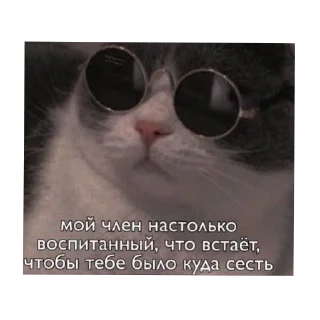 Стикер залупа редкостная - 1