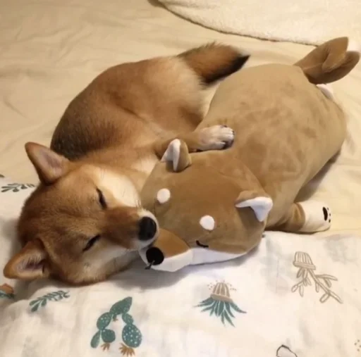 Стикер кулури ме портокали - 11