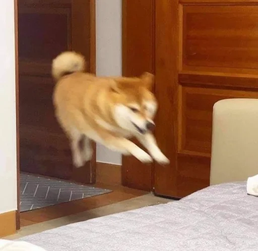 Стикер кулури ме портокали - 10