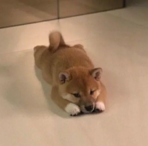 Стикер кулури ме портокали - 4