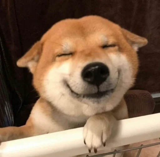 Стикер кулури ме портокали - 3