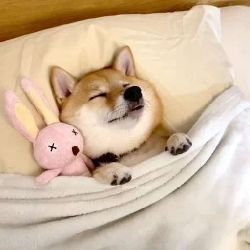 Стикер кулури ме портокали - 2