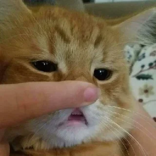 Стикер AnnA - 3