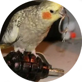 Стикер AnnA - 8