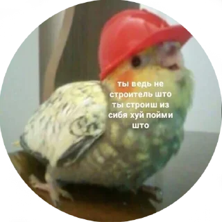 Стикер AnnA - 11