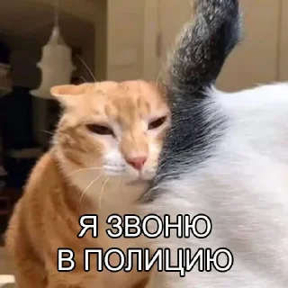 Стикер AnnA - 7