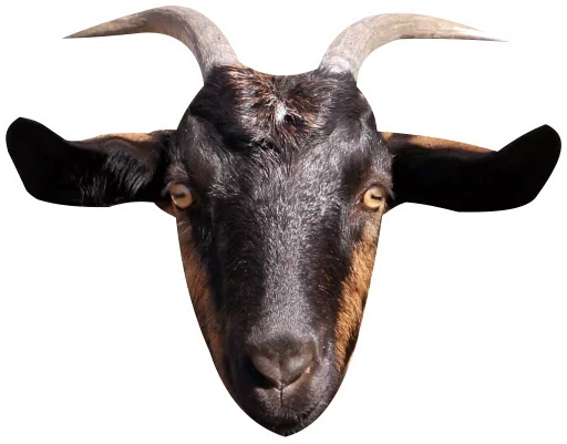 Sticker Коза козой - 6