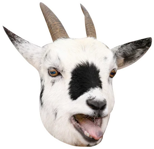 Стикер kozapackaaaaaaaa - 1