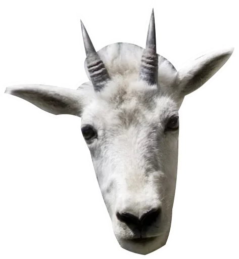 животное млекопитающее рог