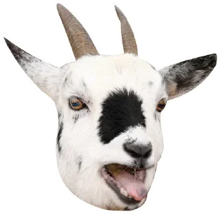 Sticker Коза козой - 5