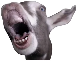 Sticker Коза козой - 3