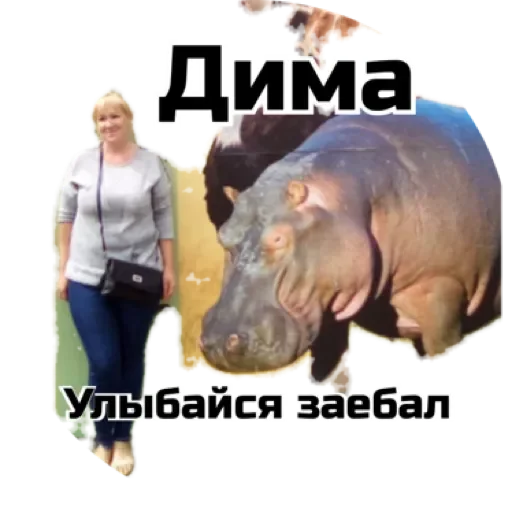 Sticker Суета by @stqrapp - 5