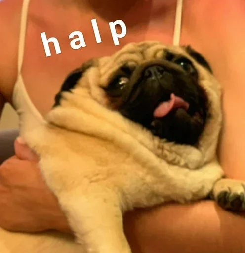 Больше стиков тут: @stikery4 - 