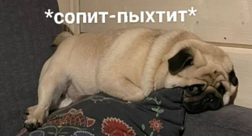 Sticker kpoUJZw_by_achestickbot - 1