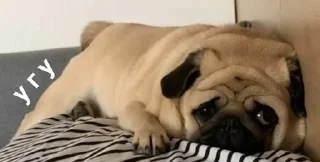 Sticker Больше стиков тут: @stikery4 - 8