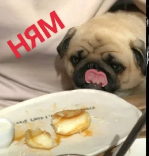 Sticker Больше стиков тут: @stikery4 - 6