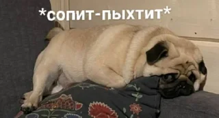 Sticker Больше стиков тут: @stikery4 - 3