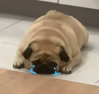 Sticker Больше стиков тут: @stikery4 - 5