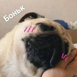 Sticker Больше стиков тут: @stikery4 - 0