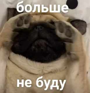 Sticker Больше стиков тут: @stikery4 - 11