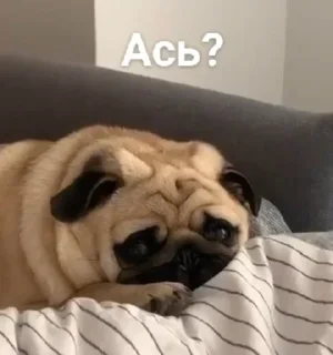 Sticker Больше стиков тут: @stikery4 - 9