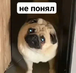 Sticker Больше стиков тут: @stikery4 - 1