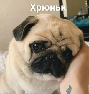 Sticker Больше стиков тут: @stikery4 - 7