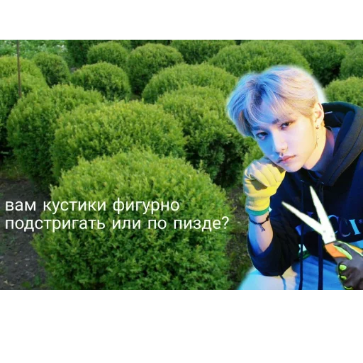 Sticker хуйня и кпоп - 5