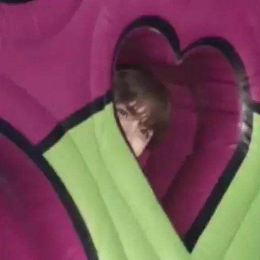 пурпурный розовый каштановый